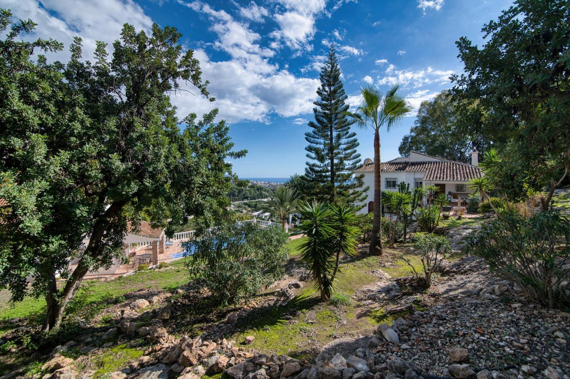 Villa Morera Bed & Breakfast Фрихилиана Экстерьер фото