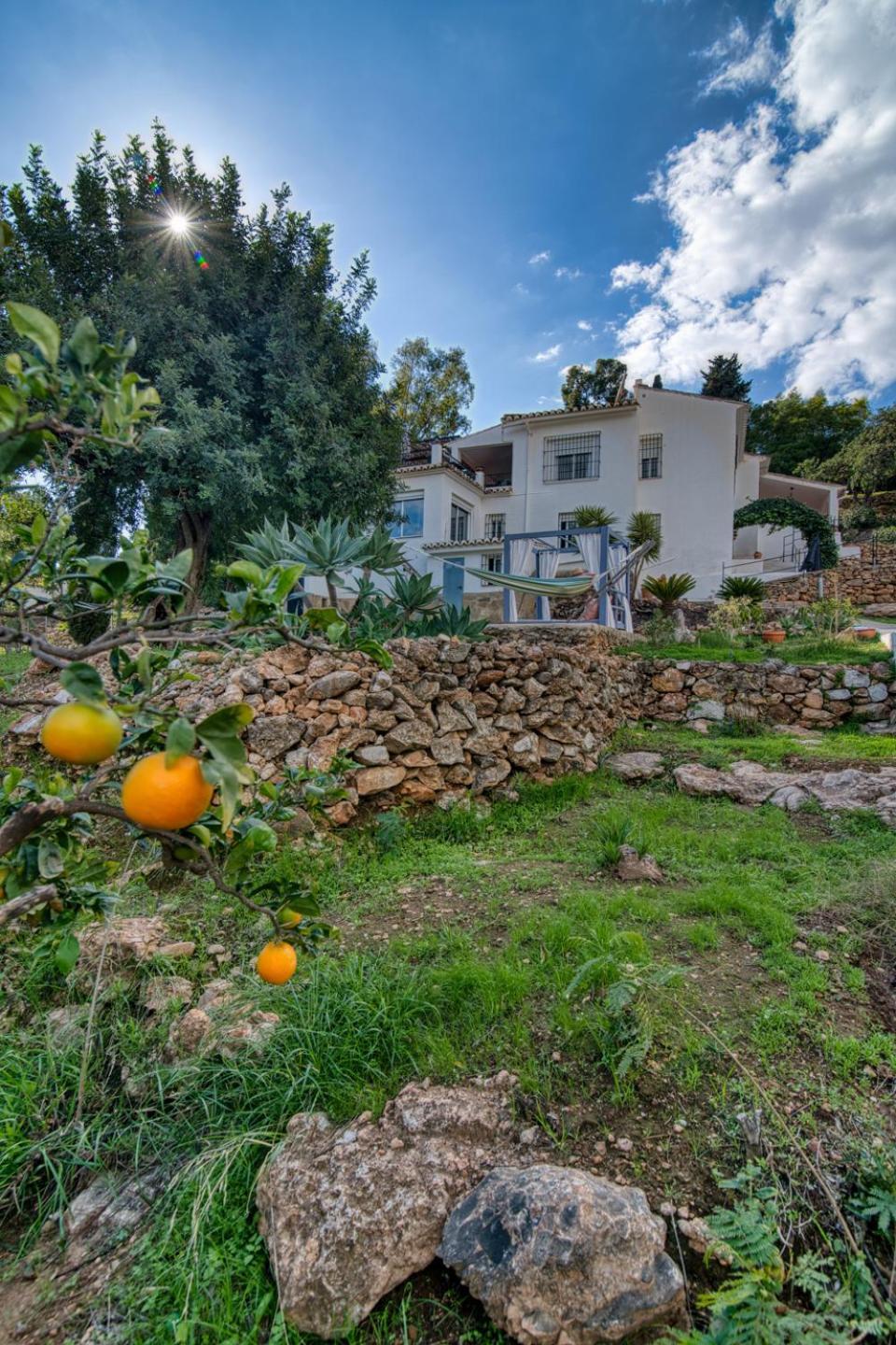 Villa Morera Bed & Breakfast Фрихилиана Экстерьер фото